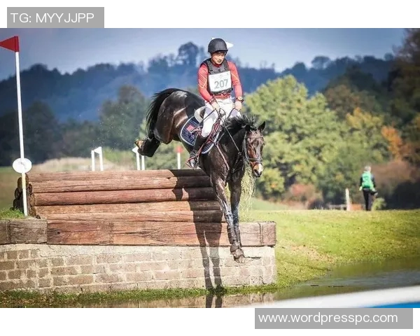 中超联赛新赛季主题口号发布：为荣耀而战