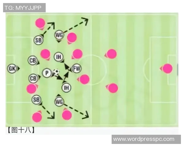 全球主要足球联赛防守战术类型与成功率对比统计研究